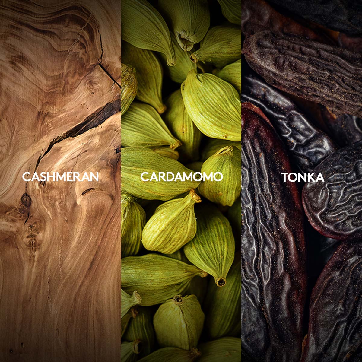 Leyenda Absolute Perfume Masculino 100ml