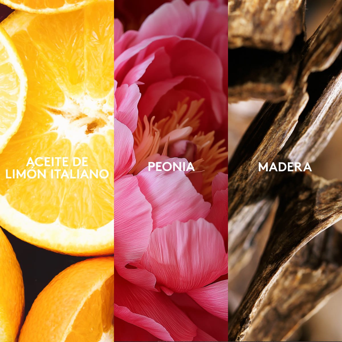 Fantasia Radiante Eau de Parfum Femenina 50ml