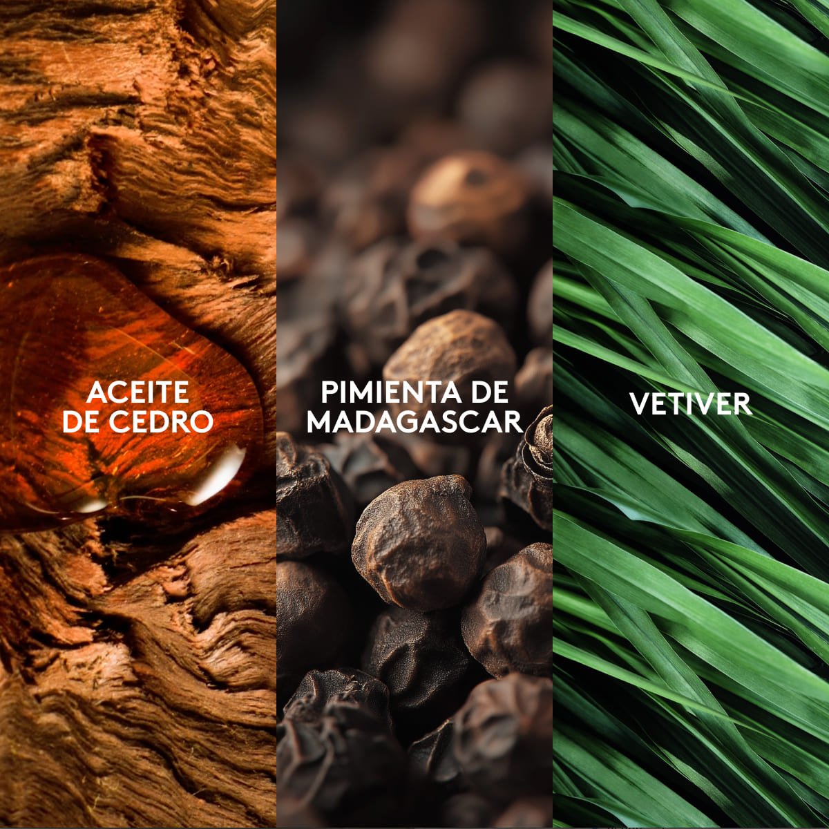 Magnat Elite Perfume Masculino 90ml