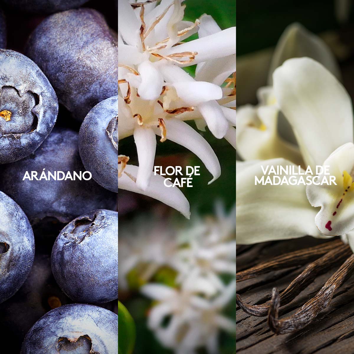 Vibranza Perfume Femenino 45ml