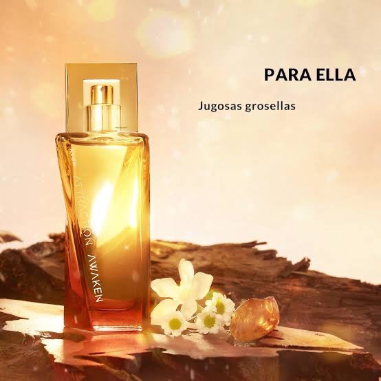 Attraction Perfume Femenino 50ml