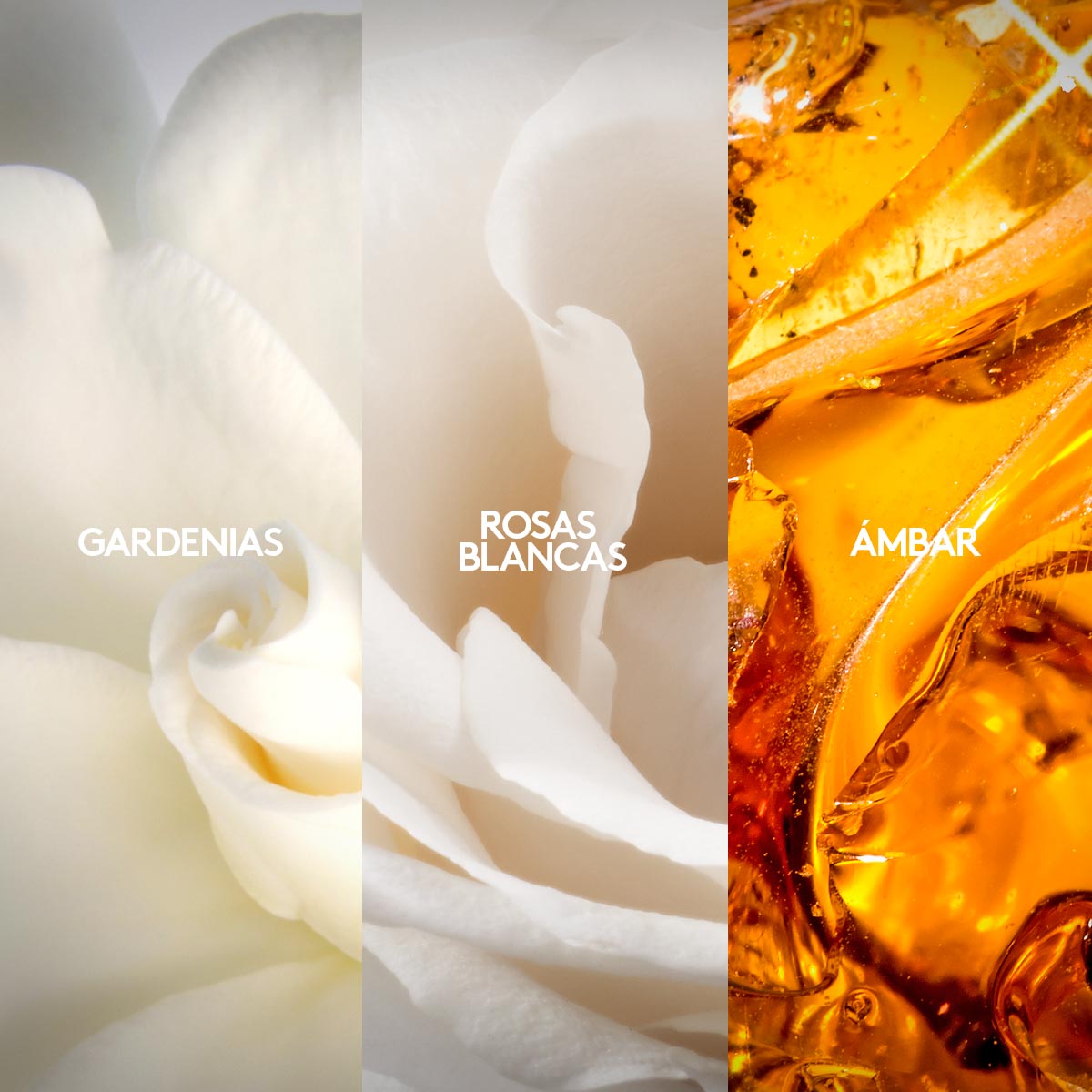 Fiori Eau de Parfum Femenina 50ml