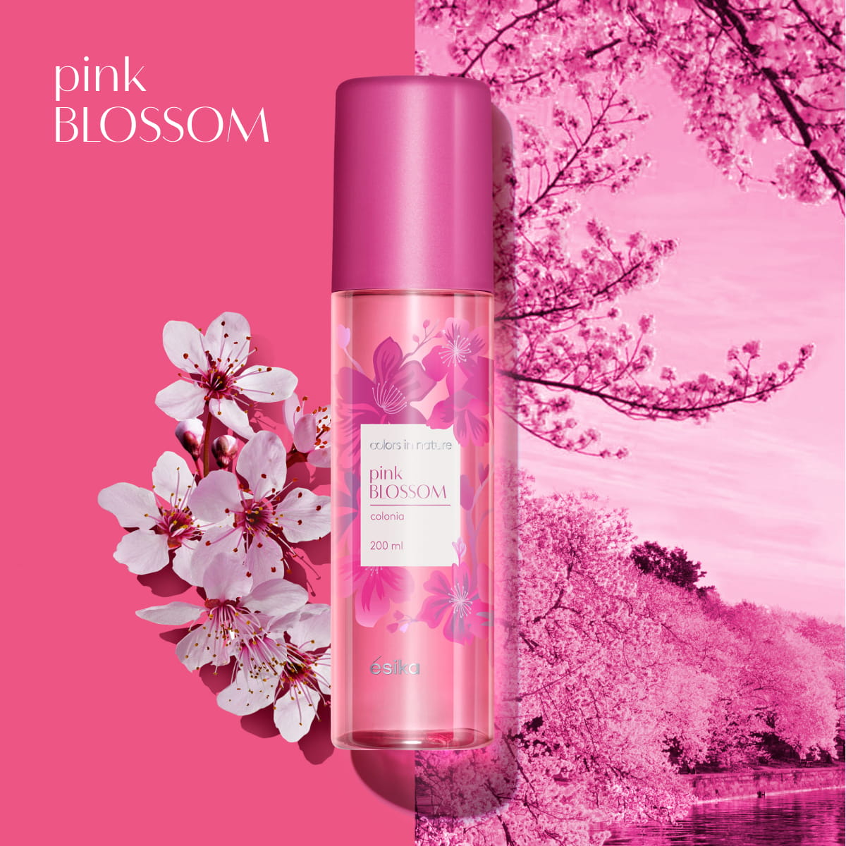 Pink Blossom Colonia Femenina 200ml