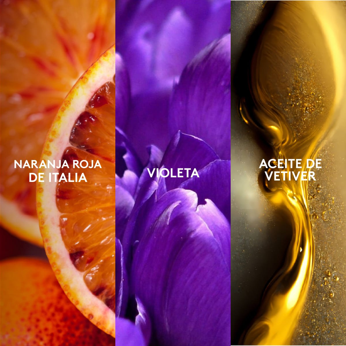 Magnat Exclusive Perfume Masculino 90ml